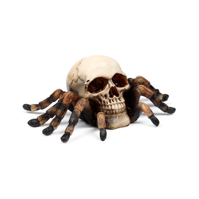 Skull Decorative Ornament - Resin & Metal with Spider Legs Accent