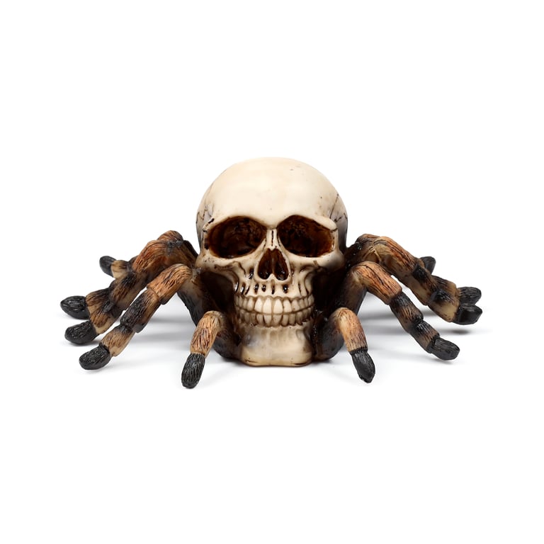 Skull Decorative Ornament - Resin & Metal with Spider Legs Accent