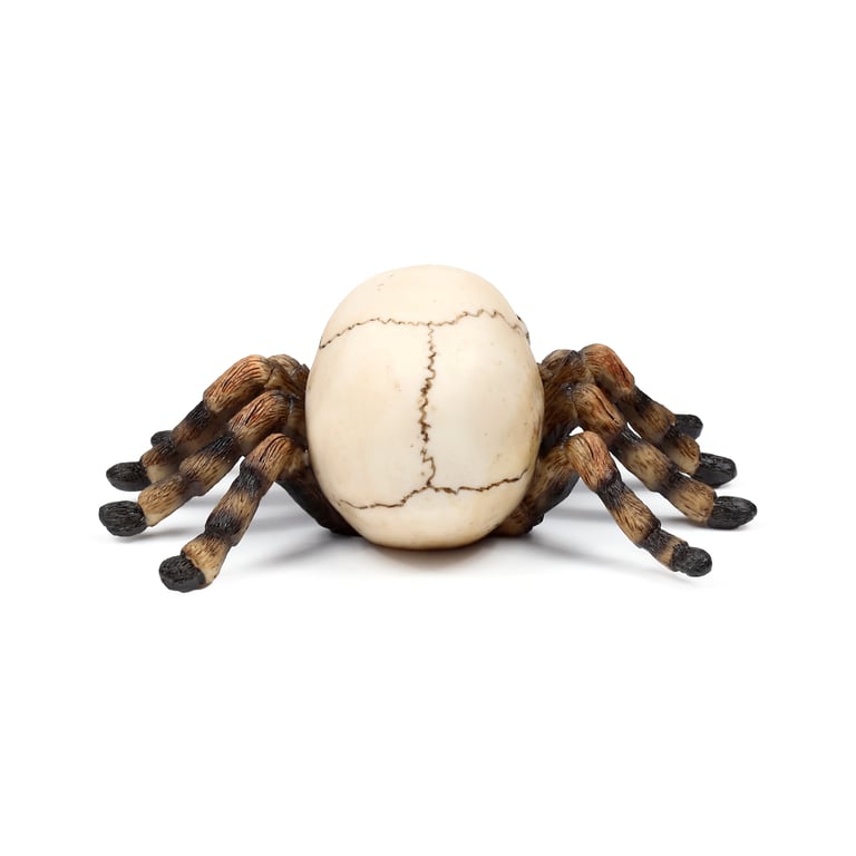 Skull Decorative Ornament - Resin & Metal with Spider Legs Accent