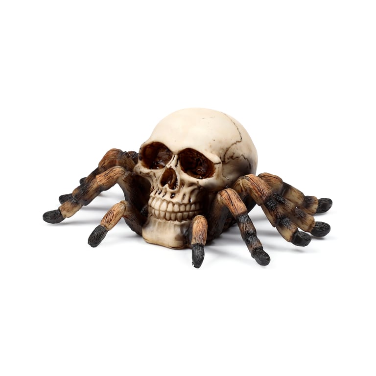 Skull Decorative Ornament - Resin & Metal with Spider Legs Accent
