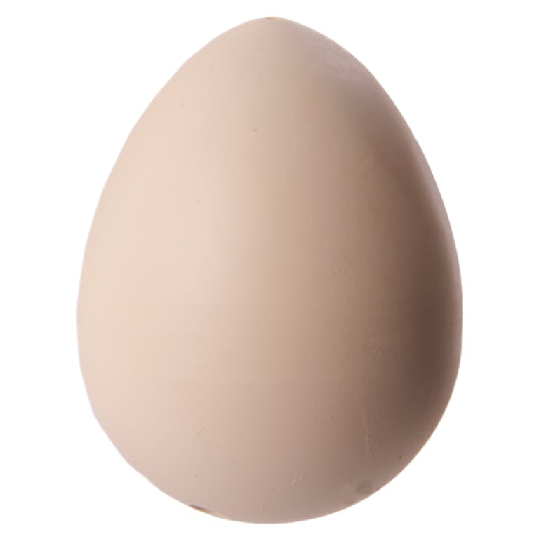 Fun Kids Novelty Hatching Chicken - CE Marked, Durable Plastic and Rubber Toy for Ages 3
