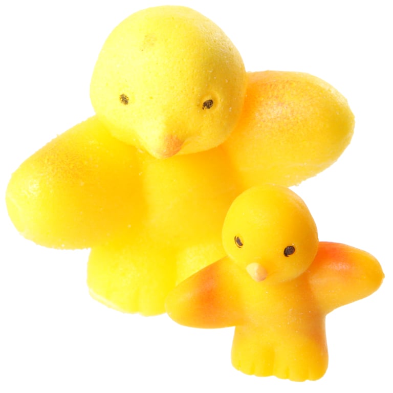 Fun Kids Novelty Hatching Chicken - CE Marked, Durable Plastic and Rubber Toy for Ages 3