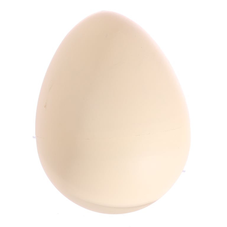 Fun Kids Large Hatching Sealife Egg - CE Marked, Educational Toy for Kids Over 3 Years
