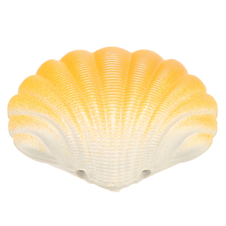 Mermaid Hatching Clam Shell - CE Marked & EN71 Compliant Instant Dissolving Toy