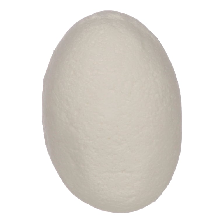 Fun Kids Fizzy Safari Animal Egg - CE Marked Plastic Toy with Instant Dissolving Sensory Play Experience