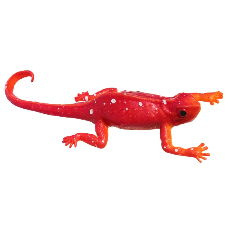 CE Marked Colour Changing Chameleon Toy for Kids - Rubber TPR Material, EN71 Certified