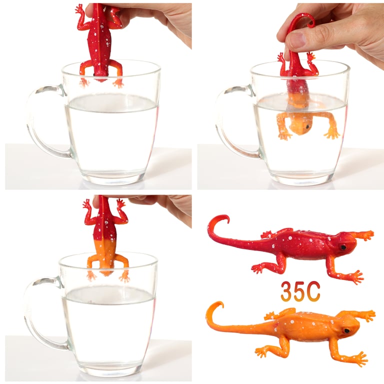 CE Marked Colour Changing Chameleon Toy for Kids - Rubber TPR Material, EN71 Certified