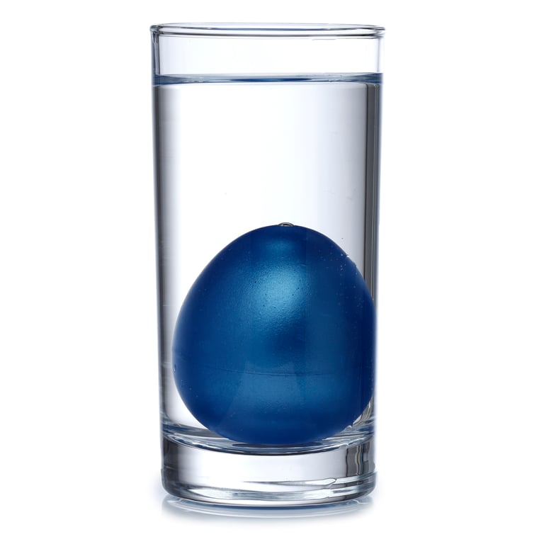 CE Marked Shark Hatching Egg - Plastic, Rubber & Resin Toy