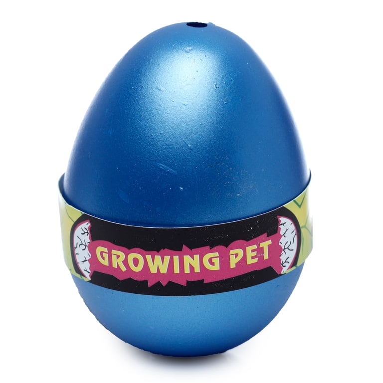 CE Marked Shark Hatching Egg - Plastic, Rubber & Resin Toy