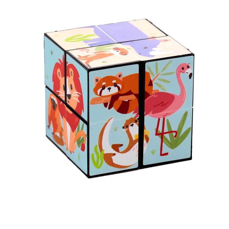 Plastic Puzzle Cube Toy - CE & EN71 Compliant, Suitable for Older Children