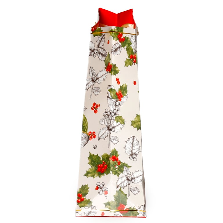 Large Christmas Gift Bag with Winter Botanicals Holly Design and Ribbon Handles