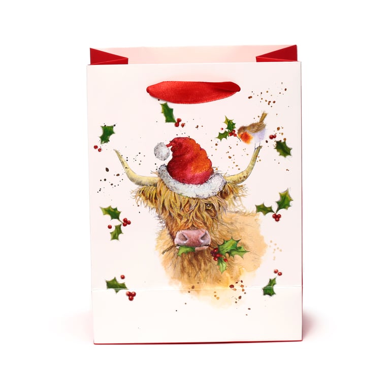 Jan Pashley Highland Coo Licensed Christmas Gift Bag with Ribbon Handles and Card Tag