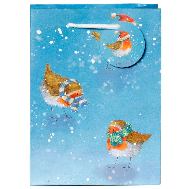 Jan Pashley Robin Licensed Christmas Gift Bag - Card Material with Cord Handles and Tag