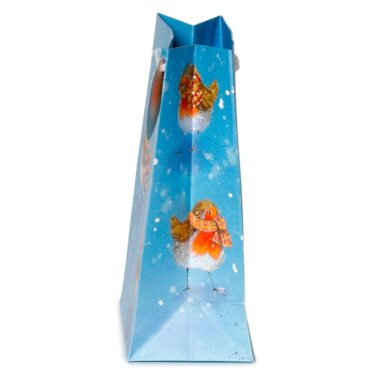 Jan Pashley Robin Licensed Christmas Gift Bag - Card Material with Cord Handles and Tag