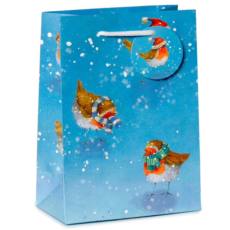 Jan Pashley Robin Licensed Christmas Gift Bag - Card Material with Cord Handles and Tag
