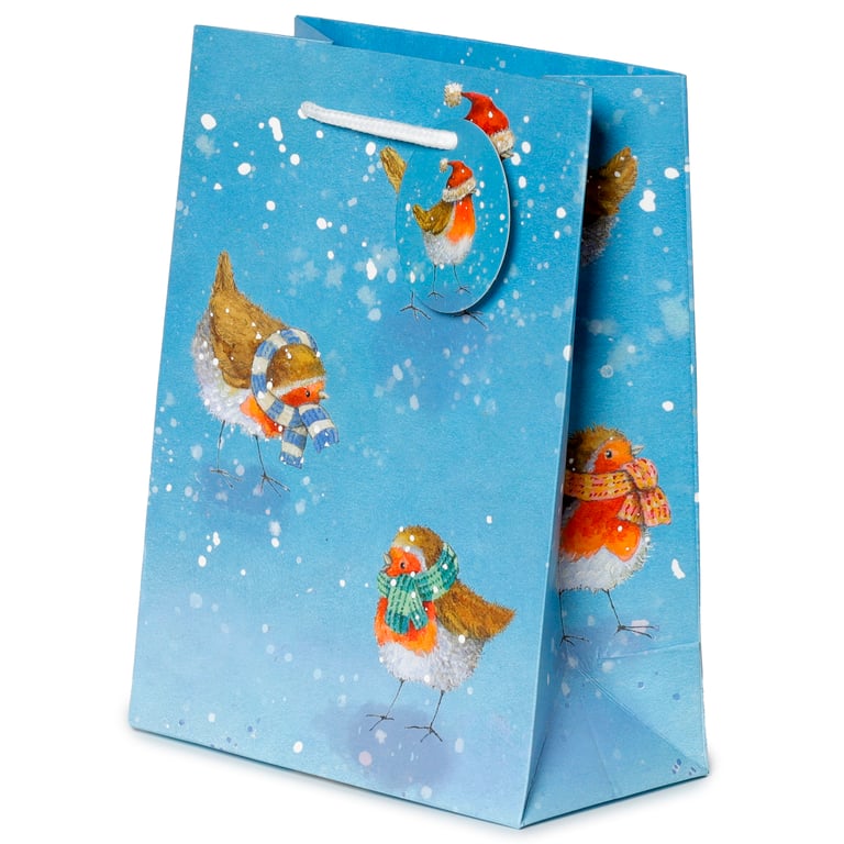Jan Pashley Robin Licensed Christmas Gift Bag - Card Material with Cord Handles and Tag