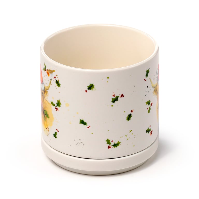 Porcelain Mug & Coaster Lid Set - Christmas Jan Pashley Highland Coo, Microwave Safe & Dishwasher Friendly Porcelain Mug.