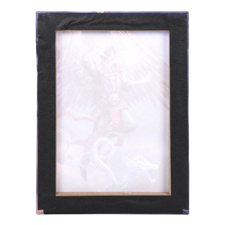 Anne Stokes Elemental Magic Air Element Wizard Canvas Wall Plaque
