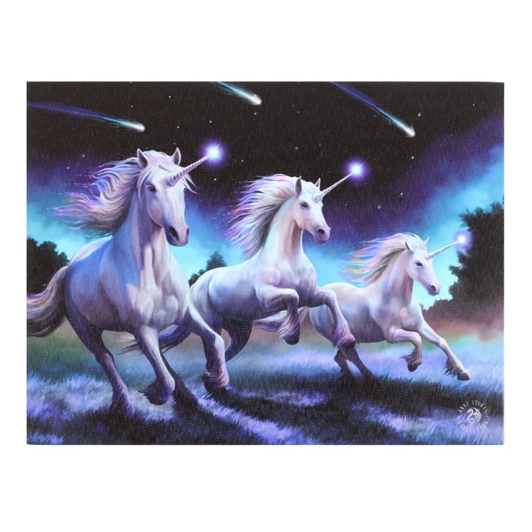 Shooting Stars Canvas Plaque by Anne Stokes - Magical Unicorn Art Wall Decoration