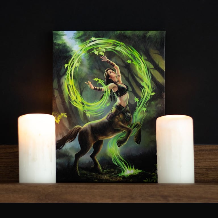 Earth Elemental Sorceress 19x25cm Canvas Wall Plaque by Anne Stokes