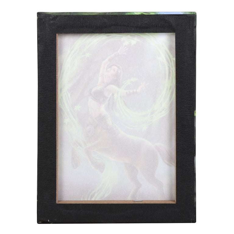 Earth Elemental Sorceress 19x25cm Canvas Wall Plaque by Anne Stokes