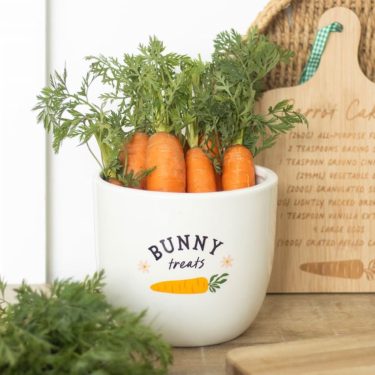 Bunny Treats Ceramic Kitchen Storage Pot - 1500ml