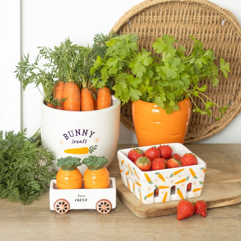 Carrot Shaped Salt and Pepper Shakers Set - Whimsical Kitchen Decor
