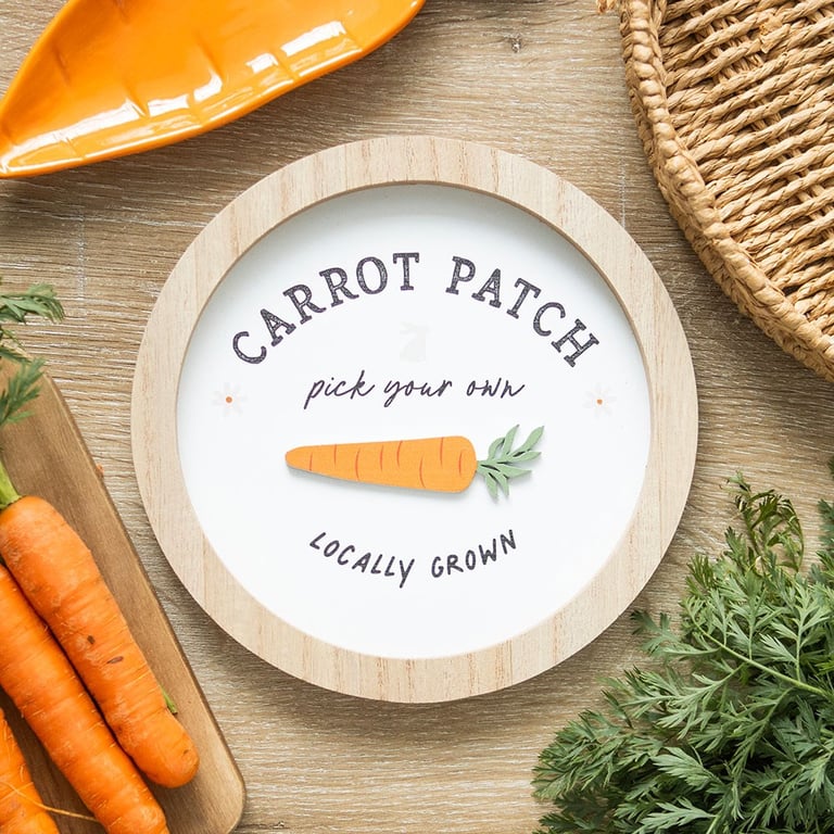 Carrot Patch Round 3D Wall Plaque - Whimsical Bunny and Carrot Garden Art Decoration for Home Decor