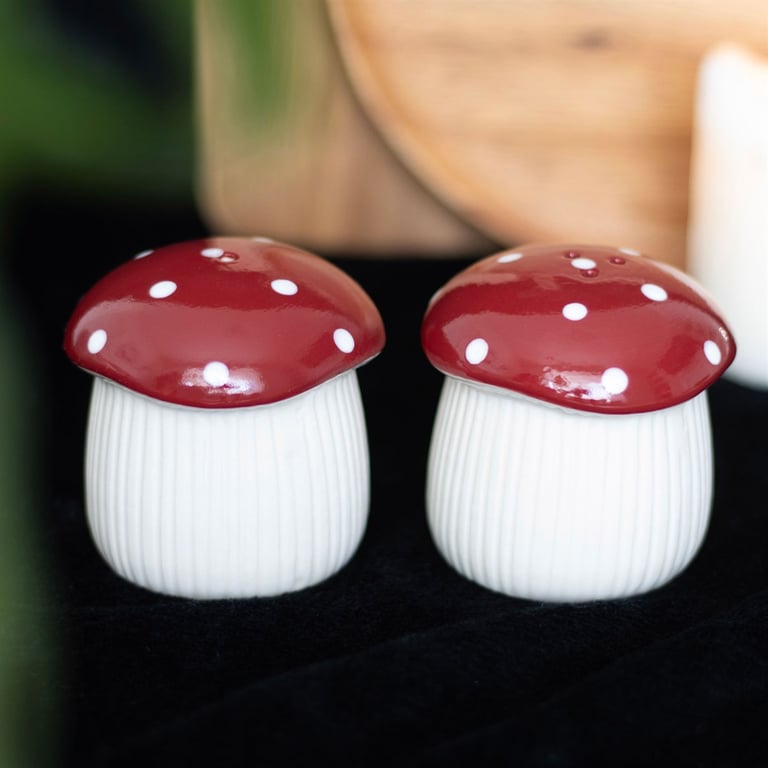 Mushroom Salt and Pepper Shakers - Quirky Kitchen Decor Essentials