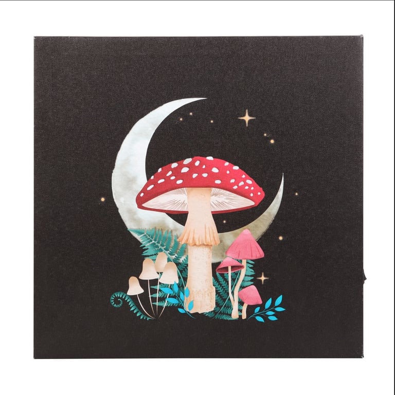 Forest Mushroom Light-Up Wall Art Canvas Plaque
