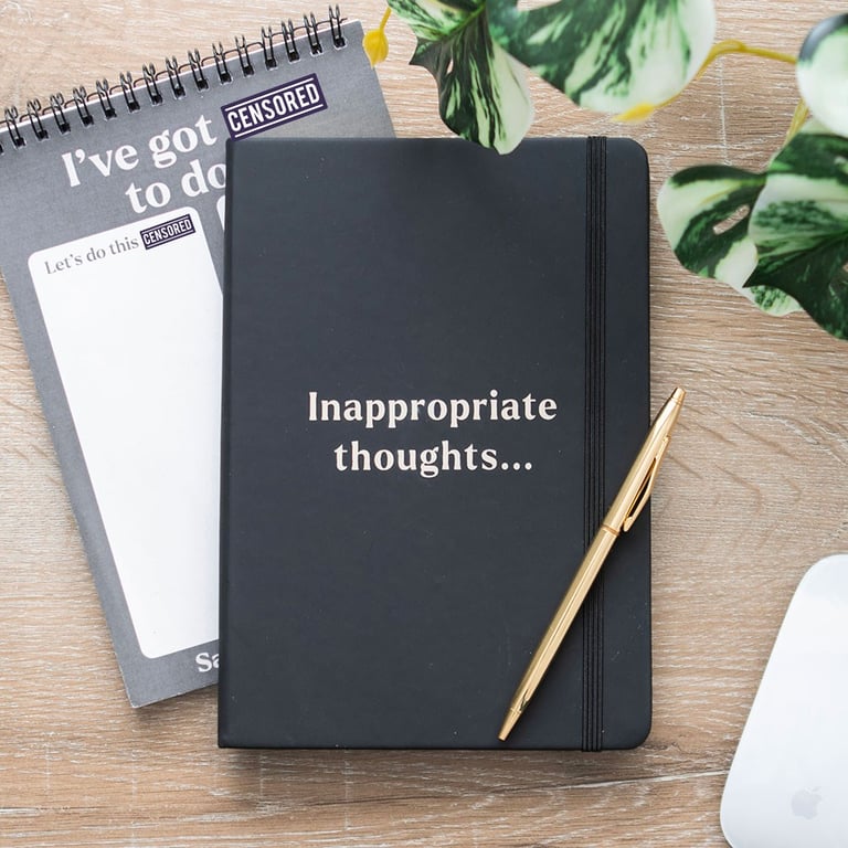 Inappropriate Thoughts A5 Lined Notebook - 100 Sheets, Evil Plan Journal