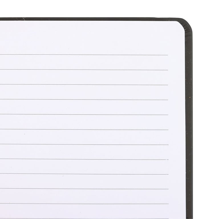 Inappropriate Thoughts A5 Lined Notebook - 100 Sheets, Evil Plan Journal