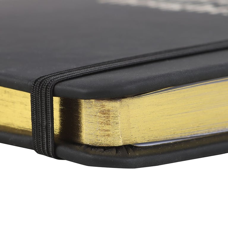 Inappropriate Thoughts A5 Lined Notebook - 100 Sheets, Evil Plan Journal