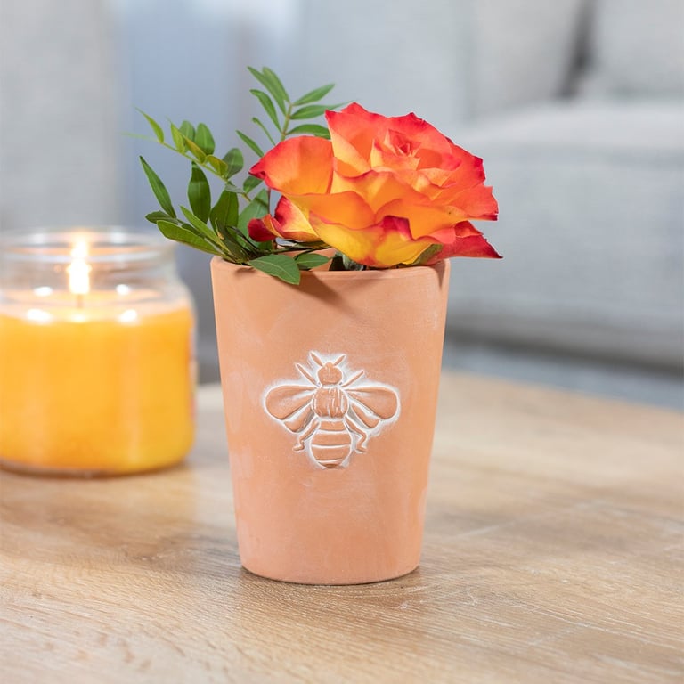 Terracotta Single Bee Motif Planter - Small Succulent Pot with Whitewash Effect and Drainage Hole