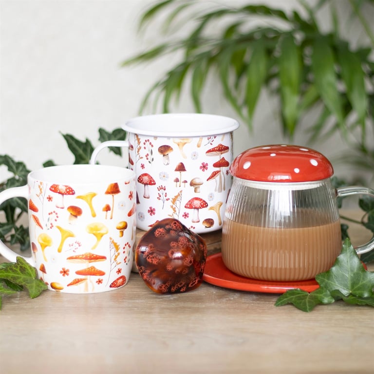 Glass Mushroom Mug and Saucer Set - Contemporary Glassware with Lid and Coaster