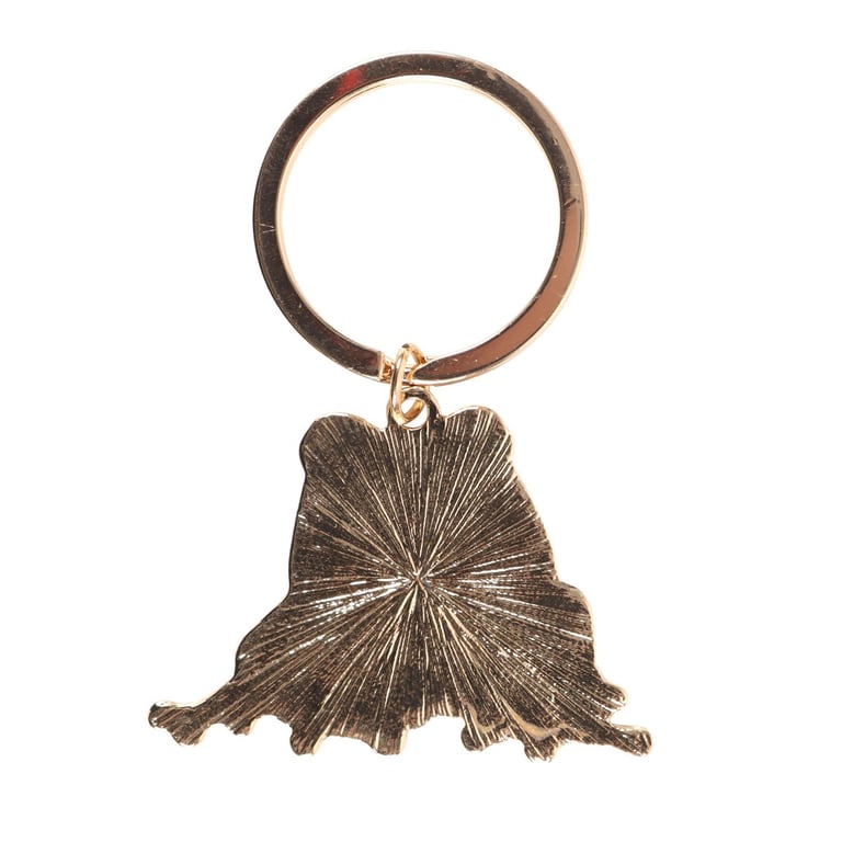 Lucky Frog Forest Themed Keyring - Whimsical Nature Charm