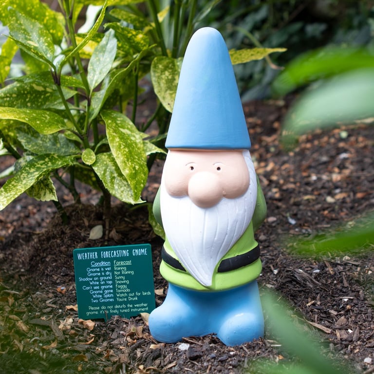 Large Weather Forecasting Gnome - Humorous Garden Accessory with Amusing Forecasts and Insights