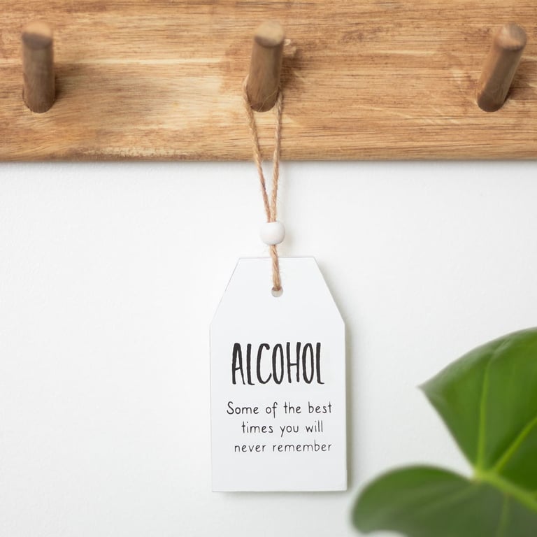 Alcohol Best Times You Will Never Remember Hanging Sentiment Sign - Wooden Memory Gift Decoration