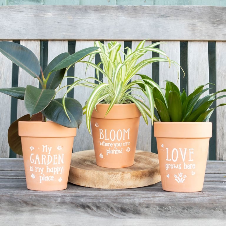 Bloom Where You Are Planted Terracotta Plant Pot - Floral Garden Decor Home Accent