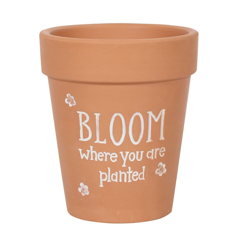 Bloom Where You Are Planted Terracotta Plant Pot - Floral Garden Decor Home Accent
