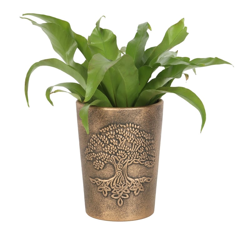 Tree of Life Bronze Terracotta Plant Pot - Spiritual Symbolism & Mystical Charm by Lisa Parker