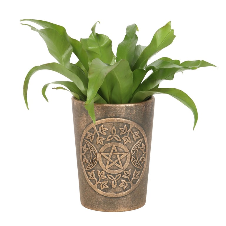 Triple Moon Bronze Terracotta Plant Pot by Lisa Parker - Mystic Home Decor Gift