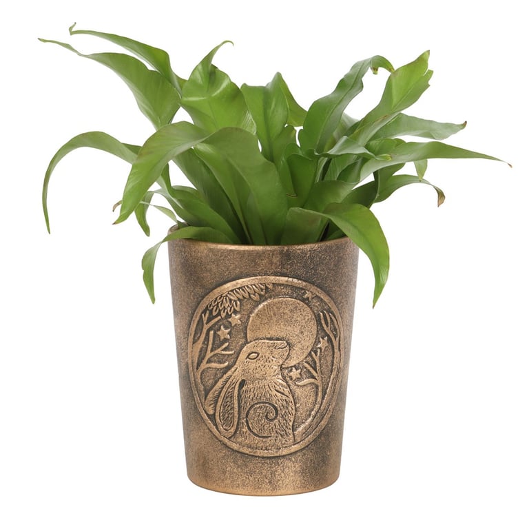 Moon Gazing Hare Bronze Terracotta Plant Pot by Lisa Parker - Pagans Rebirth Symbolism Gift
