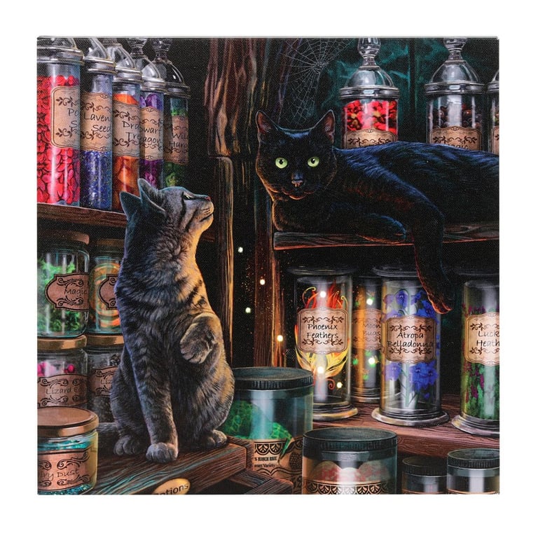 Lisa Parker Magical Emporium Light Up Canvas Plaque - Unique Wall Decoration with Colour Print Artwork