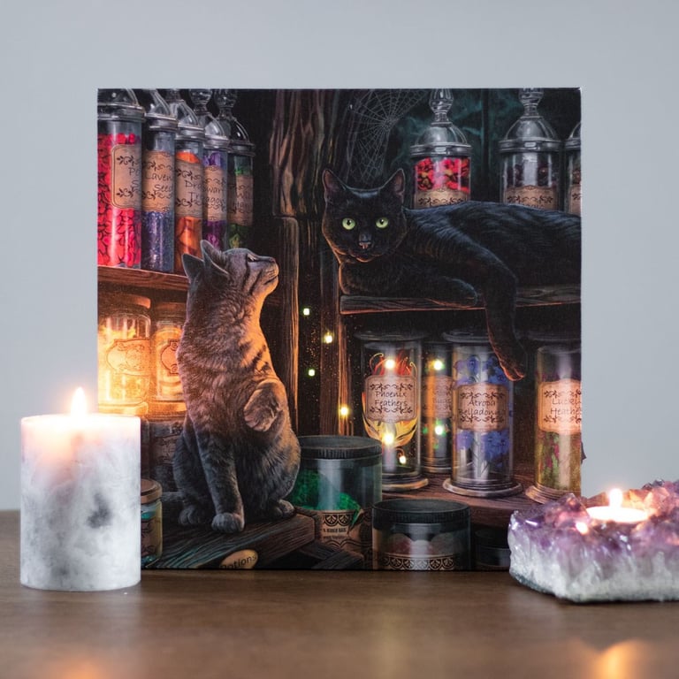 Lisa Parker Magical Emporium Light Up Canvas Plaque - Unique Wall Decoration with Colour Print Artwork