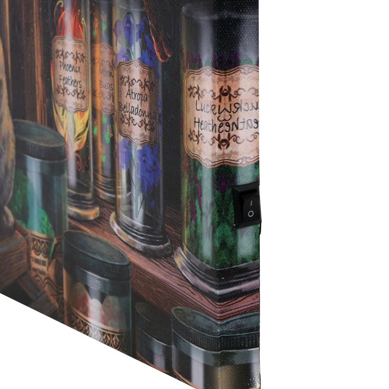 Lisa Parker Magical Emporium Light Up Canvas Plaque - Unique Wall Decoration with Colour Print Artwork