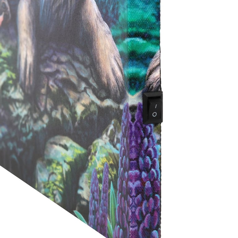 Fairy Stories Light Up Canvas Plaque by Lisa Parker - Magical Home Decor Wall Art