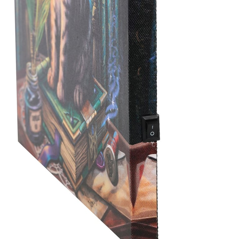 Lisa Parker Book of Shadows Light Up Canvas Plaque - Magical Home Decor