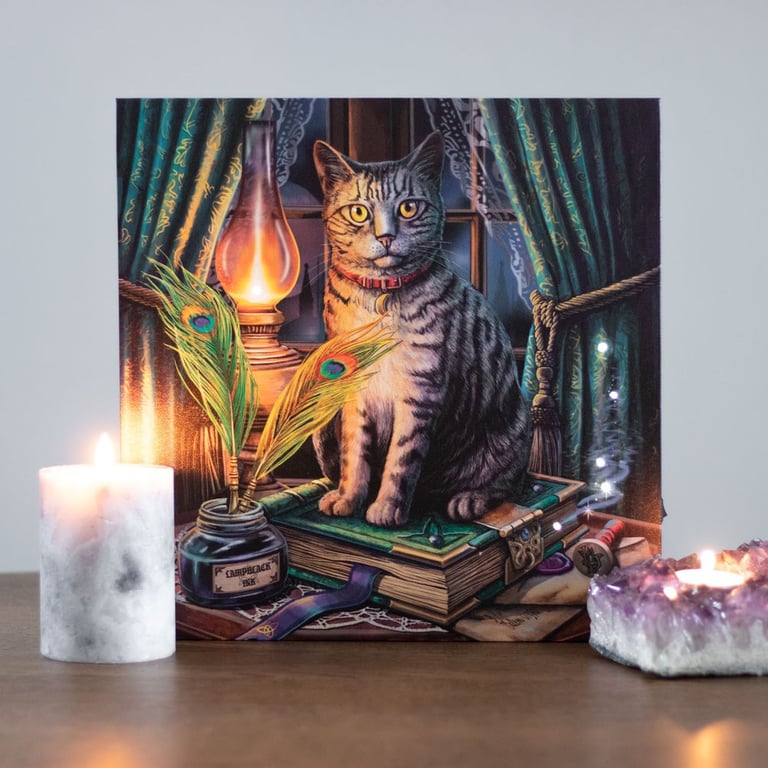 Lisa Parker Book of Shadows Light Up Canvas Plaque - Magical Home Decor