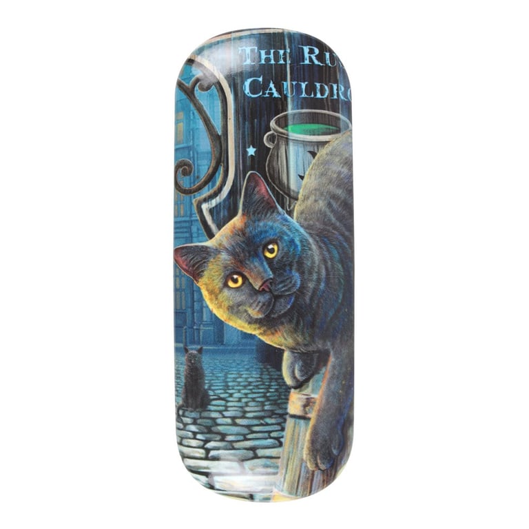 Lisa Parker Rusty Cauldron Hard Shell Glasses Case with Microfibre Cloth
